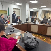 Foto - do espaço de convergência da Assembleia Legislativa onde aconteceu a audiência pública que debateu a Legai. No centro da sal uma mesa em formato de U, ela é em madeira com uns tampão em preto em cima e microfones pretos de mesa, as cadeiras aos seu redor saõ em couro pretas. Só na ponta do U há dois computadores, onde estão sentados o presidente da Frente Parlamentar em Defesa das Pessoas com Deficiencia da Asembleia e o secretario de Cidadania e Direitos humano do RS, ao redor da mesa estão os representantes de entidades que participaram dos debates, entre les o presidente da Faders. Fim da descrição